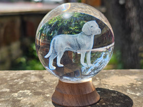 3d dog marble