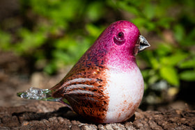 purple finch with cremation ashes