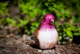 purple finch with cremation ashes