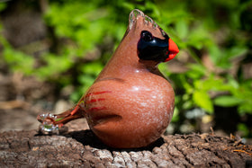 female cardinal with cremation ash