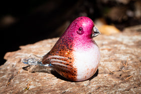 purple finch with cremation ashes